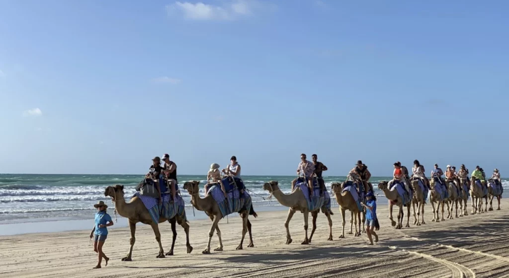 Катание на верблюдах на Кабельном пляже