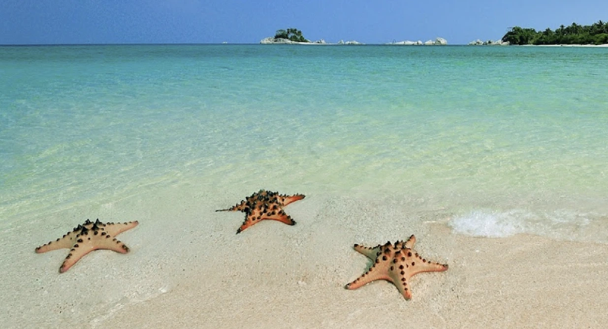 Playa de las Estrellas de Mar