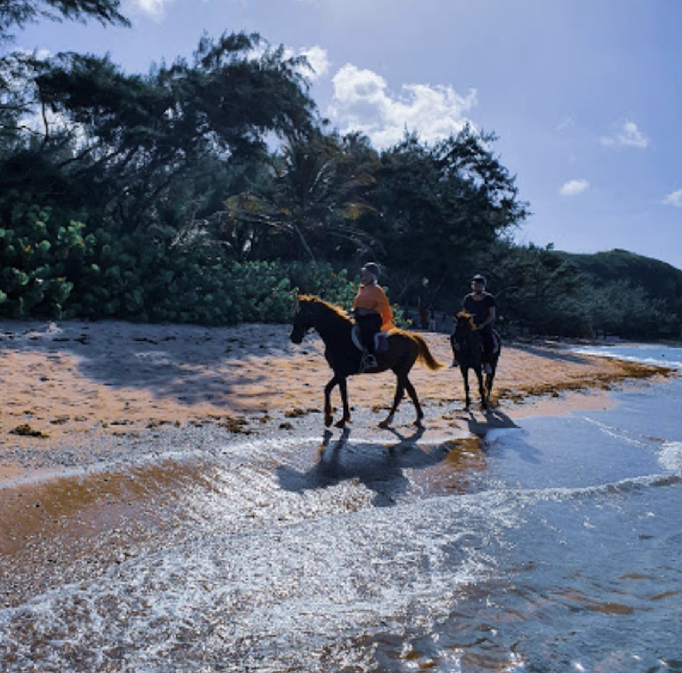 paseo a caballo por la playa de Bath