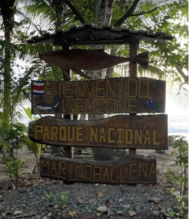 Nationaler Naturpark Marino Ballena