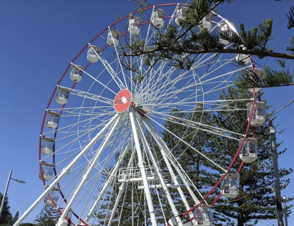 Skyline wheel at Bulcock Beach