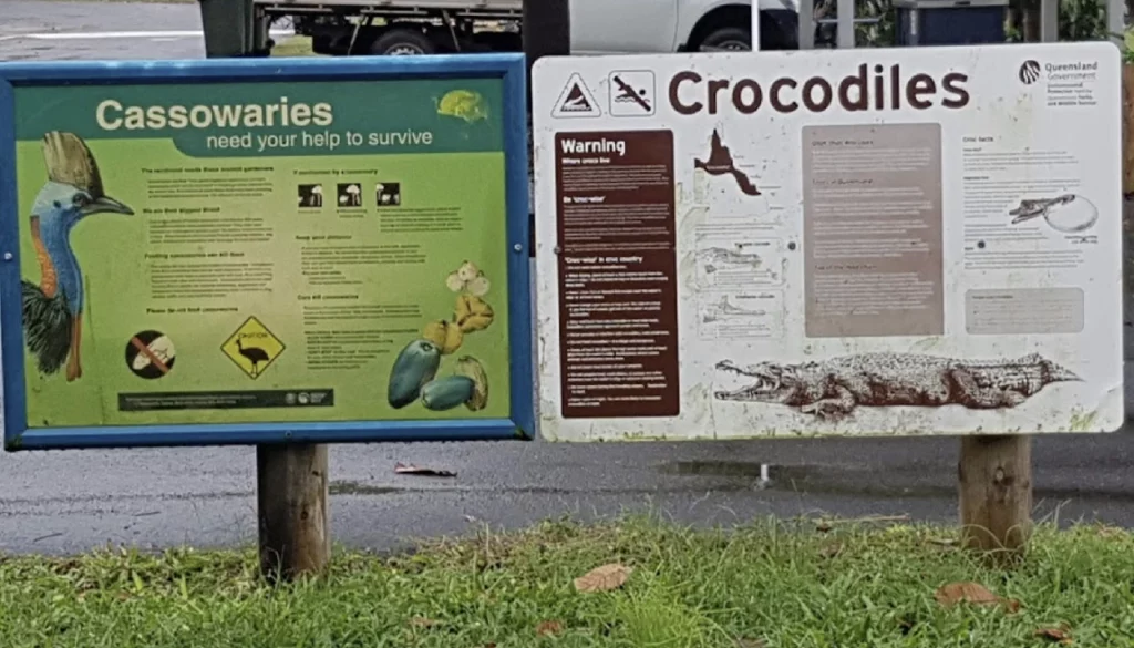 be aware of Cassowaries and crocodiles