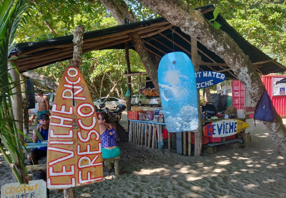 Playa Hermosa의 신선한 코코넛 물