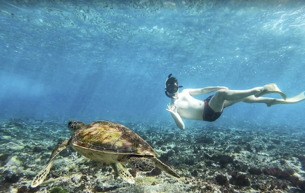 在努沙佩尼達水晶灣與海龜一起浮潛
