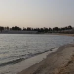 Sadaf Beach